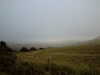 PICT0033.JPG