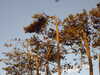 PICT0035.JPG