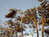 PICT0036.JPG