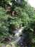 20090722132955-DSCF4100.JPG