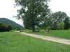 20090722140044-DSCF4111.JPG