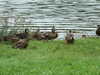 20090722140141-DSCF4113.JPG