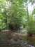 20090722141139-DSCF4121.JPG