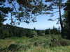 DSCF4130.JPG