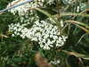 DSCF4146.JPG