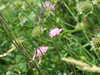 DSCF4148.JPG