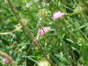DSCF4149.JPG
