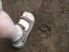 DSCF4192.JPG