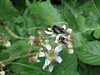 DSCF4197.JPG