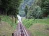 DSCF4203.JPG