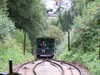 DSCF4206.JPG