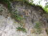DSCF4217.JPG