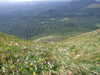 DSCF4242.JPG