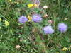 DSCF4248.JPG