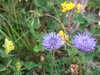 DSCF4250.JPG