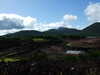 DSCF4269.JPG