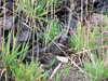 DSCF4272.JPG