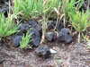 DSCF4273.JPG