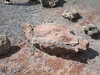 DSCF4277.JPG