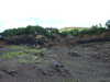 DSCF4279.JPG