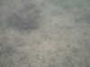 PICT0039.JPG