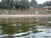 PICT0044.JPG
