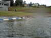 PICT0046.JPG