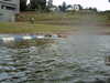 PICT0048.JPG