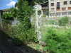 20090728000148-DSCF4320.JPG