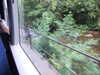 20090728000200-DSCF4321.JPG
