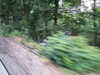 20090728000216-DSCF4322.JPG