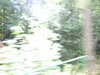 20090728015715-DSCF4335.JPG