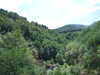 20090728015923-DSCF4338.JPG