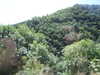 20090728015932-DSCF4339.JPG