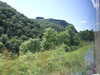 20090728015937-DSCF4340.JPG
