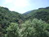 20090728015947-DSCF4342.JPG