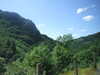 20090728020001-DSCF4344.JPG