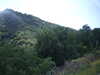 20090728020044-DSCF4346.JPG