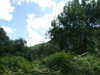 20090728020053-DSCF4348.JPG