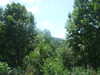 20090728020121-DSCF4349.JPG