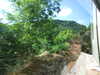 DSCF4317.JPG
