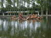 DSCF4369.JPG