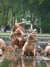 DSCF4372.JPG
