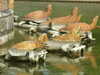 DSCF4377.JPG