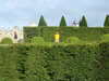 DSCF4381.JPG