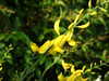 20090731082038-DSCF4482.JPG