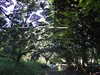 20090912154219-DSCF4508.JPG