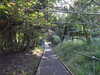 20090912154339-DSCF4509.JPG