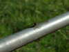 20090912154820-DSCF4517.JPG