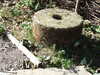 20090912155039-DSCF4523.JPG